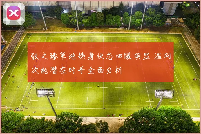 张之臻草地热身状态回暖明显 温网次轮潜在对手全面分析